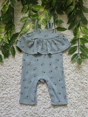 Baby Girl Ladybug Ruffle Romper (3-6 Months)